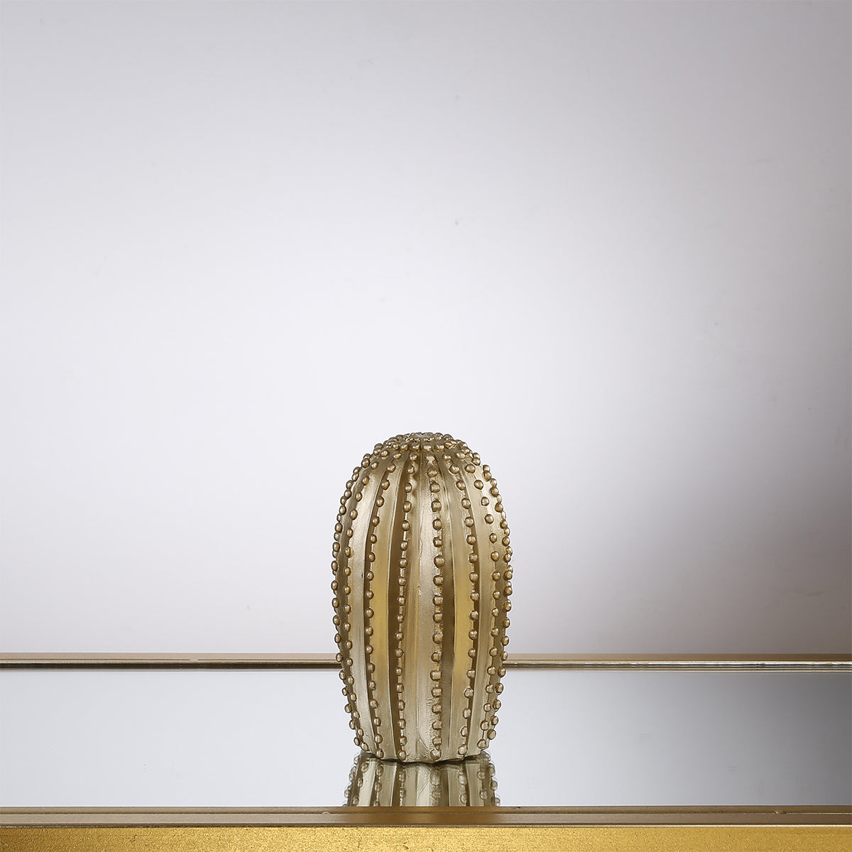 Cactus decorativo