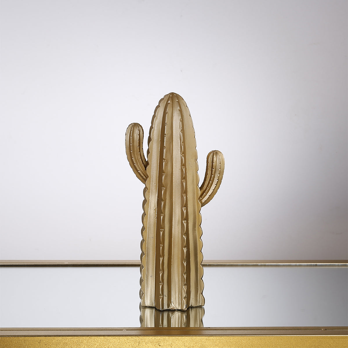 Cactus decorativo