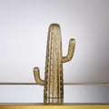Cactus decorativo