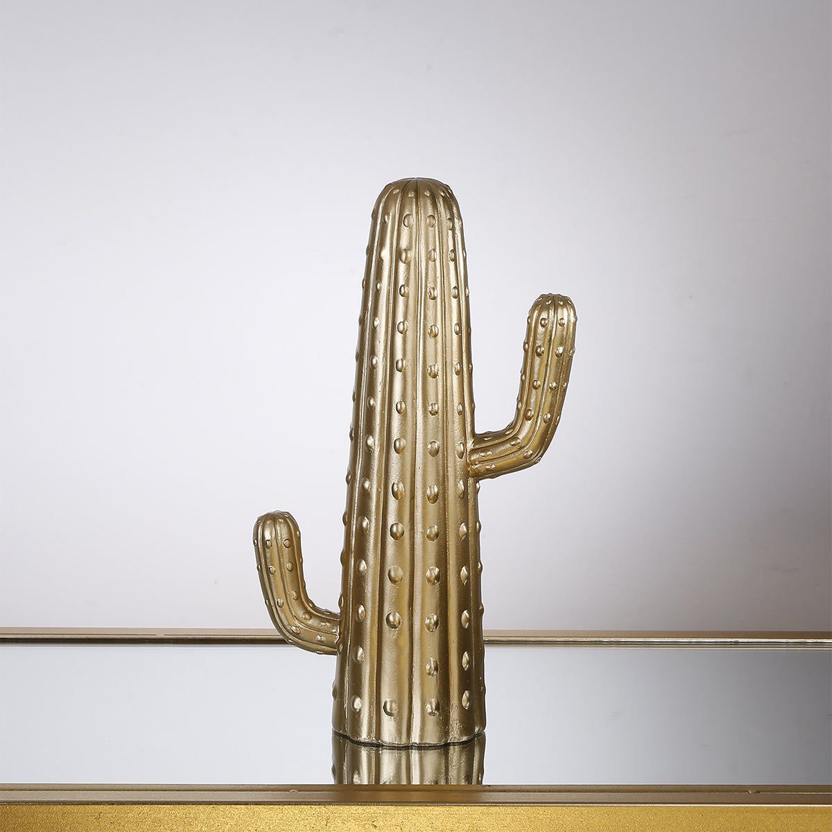 Cactus decorativo